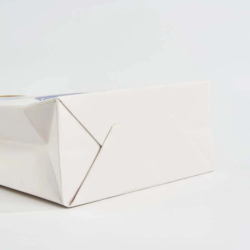 Custom Die Cut Handle Gift Bags-SPU RacetopPrint