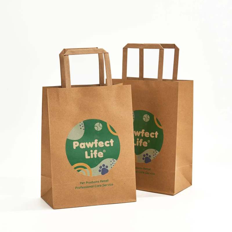 Custom Flat Handle Paper Bags-SPU RacetopPrint