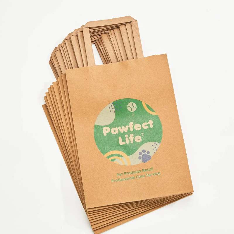 Custom Flat Handle Paper Bags-SPU RacetopPrint