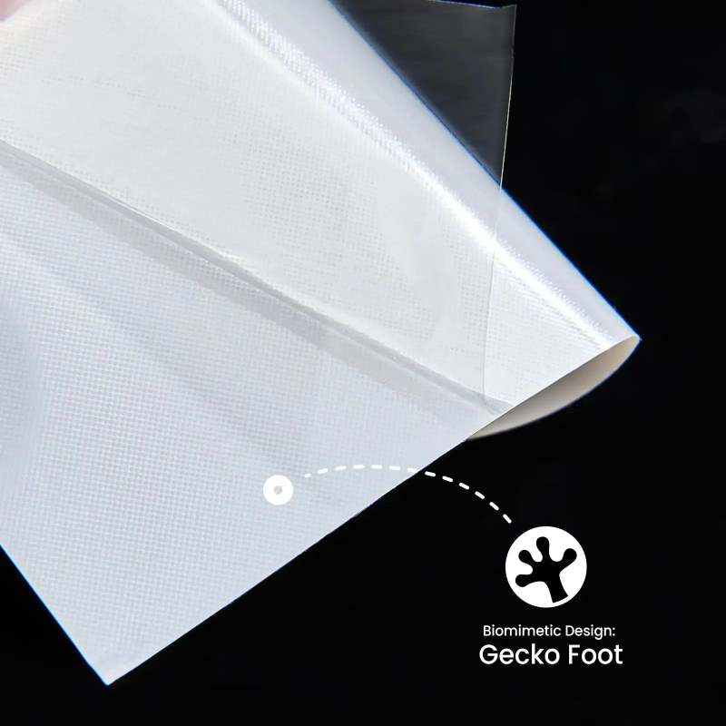 Removable Wall Decal-SPU RacetopPrint