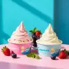12 oz Custom Recyclable Ice Cream & Yogurt Cups