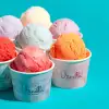 8 oz Custom Recyclable Ice Cream & Yogurt Cups-SPU RacetopPrint