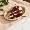 Oval sugarcane fiber tortilla bowl