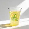 PLA Plastic Cups-16oz