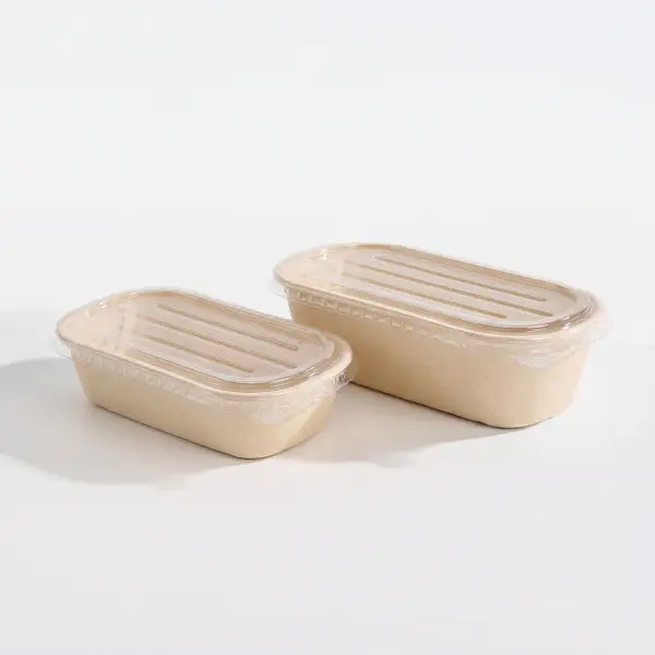 Sugarcane Fiber Food Bowl