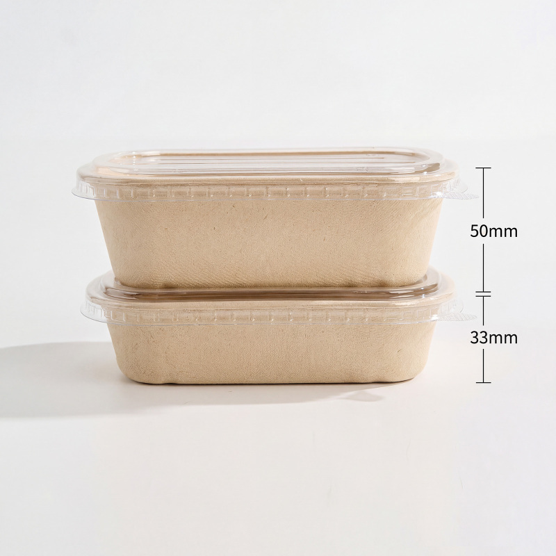 Sugarcane Fiber Food Bowl