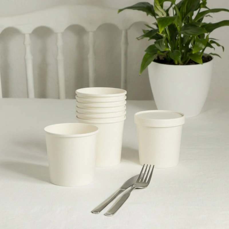 Blank Recyclable Paper Food Containers-SPU RacetopPrint