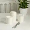 Blank Recyclable Paper Food Containers-SPU RacetopPrint