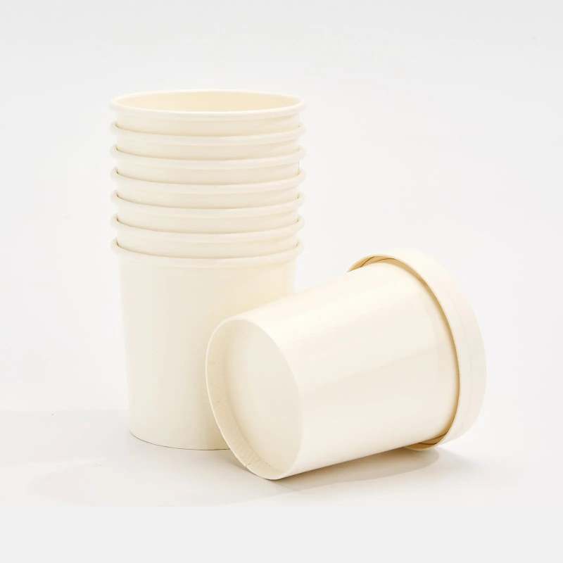 Blank Recyclable Paper Food Containers-SPU RacetopPrint