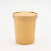 Blank Recyclable Paper Food Containers-SPU RacetopPrint