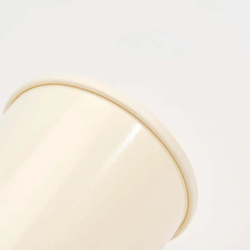 Blank Recyclable Paper Food Containers-SPU RacetopPrint