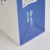 Custom Paper Lunch Bags RacetopPrint