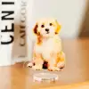 Custom Acrylic Standee-SPU RacetopPrint