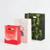 Custom Die Cut Handle Gift Bags-SPU RacetopPrint