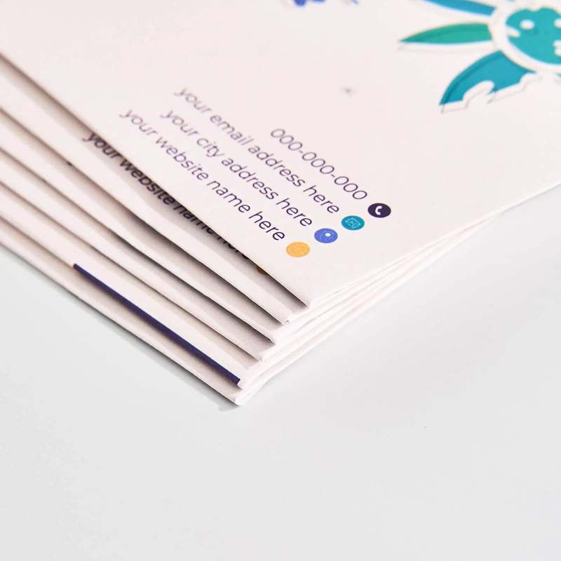 Custom Envelopes-SPU RacetopPrint