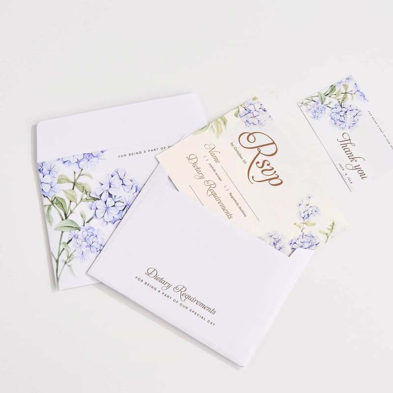 Custom Envelopes-SPU RacetopPrint