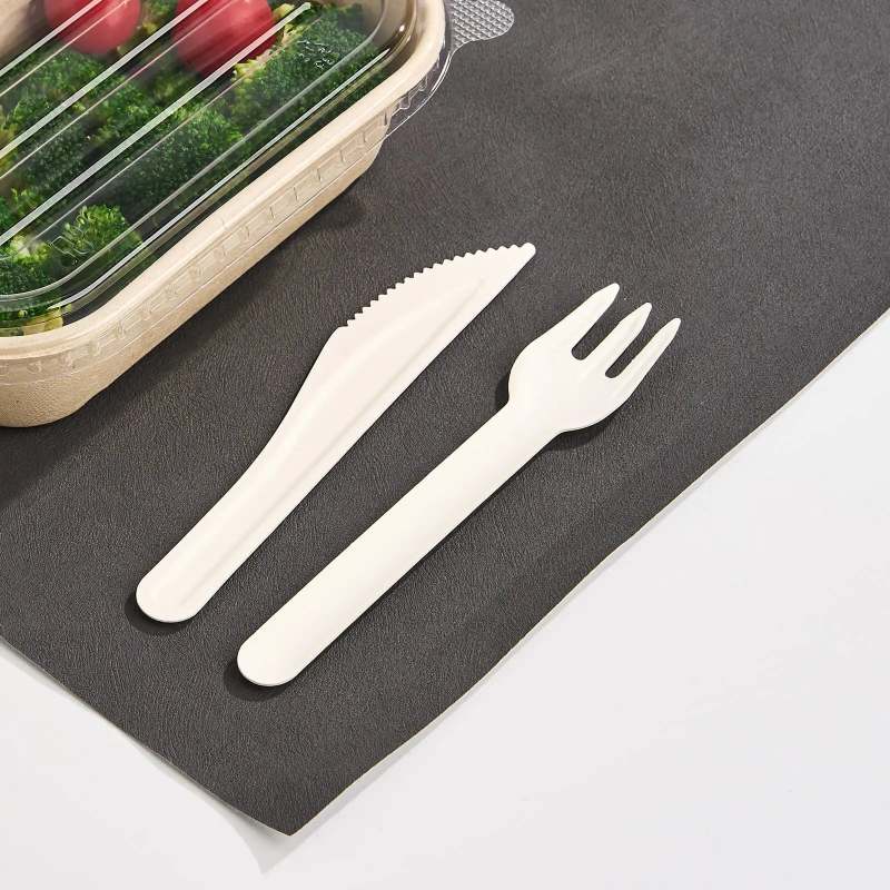 Disposable Paper Cutlery