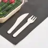 Disposable Paper Cutlery