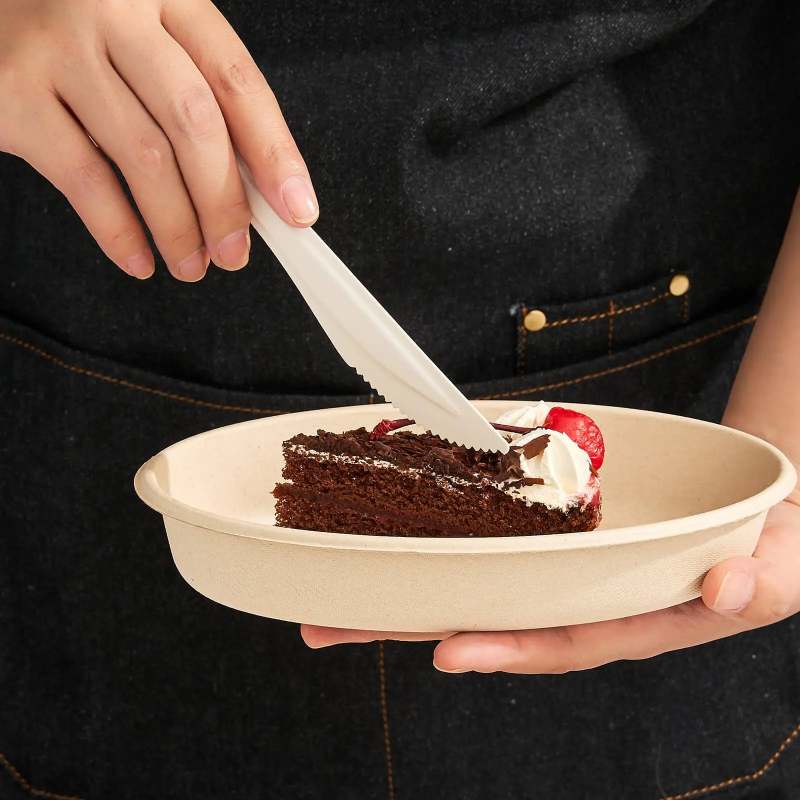 Disposable Paper Cutlery