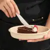 Disposable Paper Cutlery